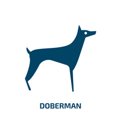 doberman vector icon. doberman, pet, animal filled icons from flat dog breeds fullbody concept. Isolated black glyph icon, vector illustration symbol element for web design and mobile apps