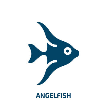 angelfish vector icon. angelfish, water, animal filled icons from flat pet lovers concept. Isolated black glyph icon, vector illustration symbol element for web design and mobile apps