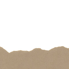 Torn Paper