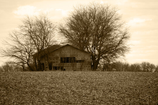 cornfield rural old deserted farm barn harvest farming corn sepia retro history photograph harvested