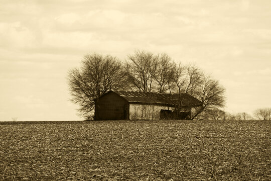 rural old deserted farm barn harvest farming cornfield corn harvested sepia retro history photograph
