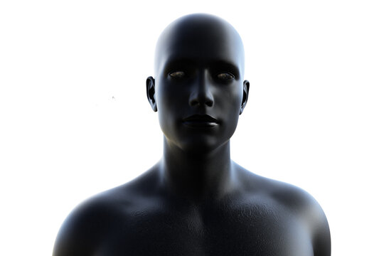 3D render. Portrait of a black bald man on a white background. 