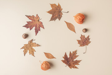 Autumn composition. Frame made of dry leaves, flowers, acorn on beige background. Flat lay, top view