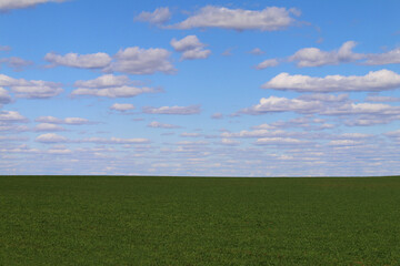 horizon land grass grazing grassland field farm livestock farming cloudscape feed graze plain