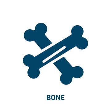 bone vector icon. bone, human, health filled icons from flat concept. Isolated black glyph icon, vector illustration symbol element for web design and mobile apps