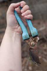 Close-up view of a woman's hand with a secateurs. gardening.