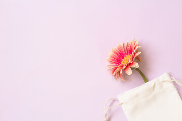 Pink gerbera flower came out from cloth pouch on lilac background. Horizontal background with space...
