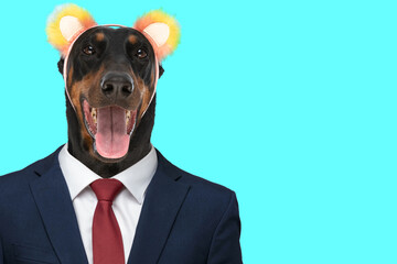 happy belgian shepherd malinois dog with cute headband panting