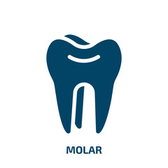 molar vector icon. molar, tooth, medical filled icons from flat health concept. Isolated black glyph icon, vector illustration symbol element for web design and mobile apps