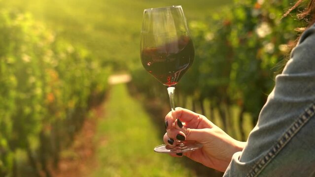 Woman drinking wine in in wineyard garden. Sommelier tasting red white wine. Close up of female hand swirling the glass to make the wine spinning.