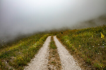 road with fog in the mountain