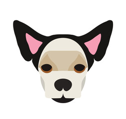 Dog head, vector illustration, isolated on white background.