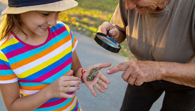 The child is playing with the frog. Selective focus.