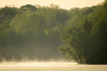 early morning at a lake. It is foggy and hazy and backlit by the harsh summer sun. 