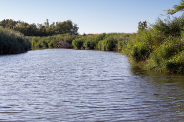 A view of Coghinas river in Sardinia