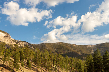 Obraz premium landscape in the mountains