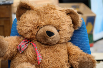 Der Traum eines jeden Kindes ein richtiger Teddybär.
