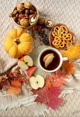 tea cup, pumpkin, pretzels, nuts and autumn leaves on plaid background. home cozy composition. fall season concept. top view