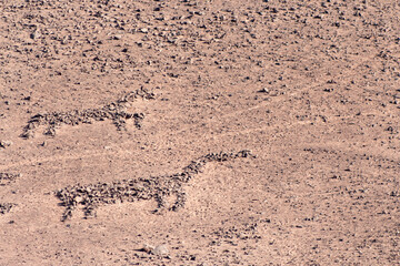 figure drawn in the desert
