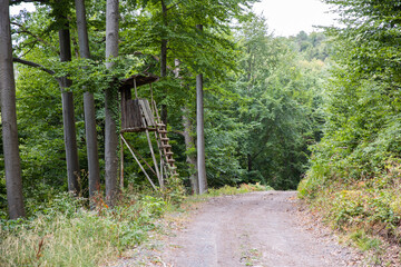 Hunters hideout, Hunter's lodge in the wood near the rural road surrounded by green trees