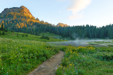 Beautiful sunrise over Tipsoo lake with green meadow in foreground  at MT Rainier National Park, Washington.