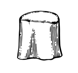 Old Wooden stump. Remaining tree with roots. Forest or garden plant. Hand drawn outline sketch. Isolated on white background. Vector.