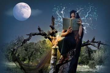 female witch with long red hair in black hoodie holds book of spells, sits on dry tree in evening...