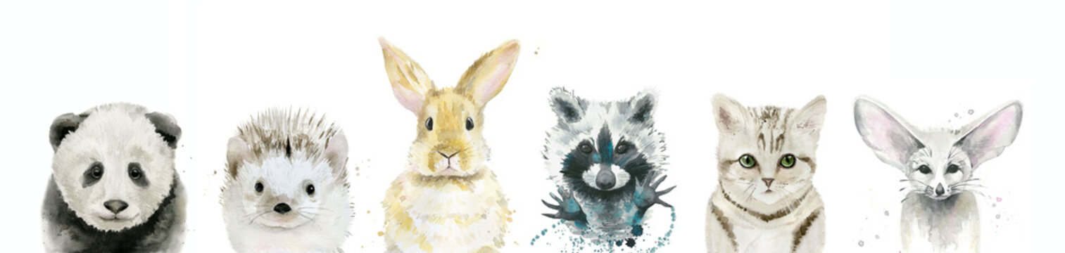 Cute Baby Animals. Water color illustration isolated on white background.