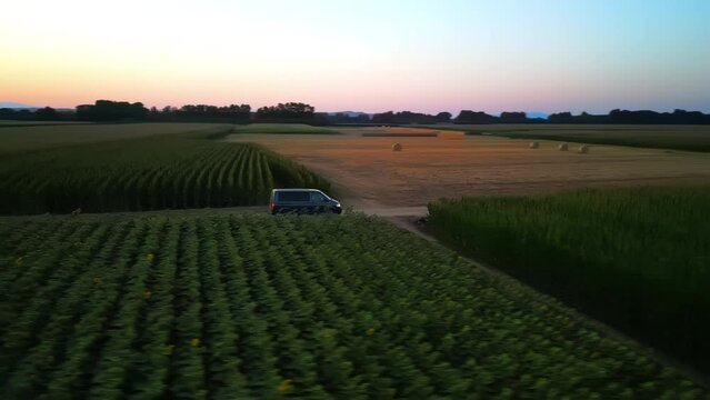 Aerial shot of Grey minivan driving on the green corn field rural road 