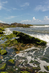 beach in the city of Itacare, State of Bahia, Brazil
