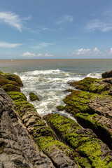 beach in the city of Itacare, State of Bahia, Brazil