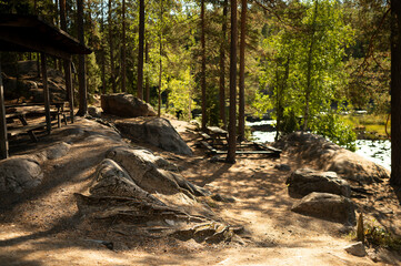 National Park in Finland Nuuksio -a journey in the greenery landscape of photos. Trees, forest, vegetation, lakes, ecoclimate, ecosystem