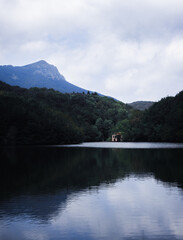 Fototapeta na wymiar Casa envuelta por los arboles de la montaña.