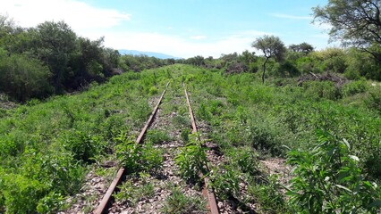 Fototapeta premium Vias viejas