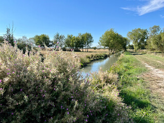 Fototapeta premium Charente-Maritime
