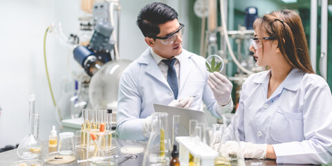 Fototapeta premium scientist checking hemp plants in a weed greenhouse. Concept of herbal alternative medicine, cbd oil, pharmaceptical industry