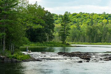 Summer forest foliage along the Mississippi River Ontario Canada