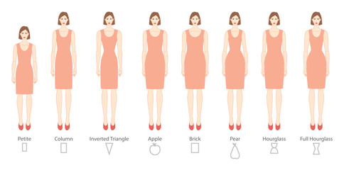 Set of Women body shape types: apple, pear, column, brick, hourglass, inverted triangle, petite in pink dress. Female Vector illustration 9 head size lady figure front view girl for fashion sketching