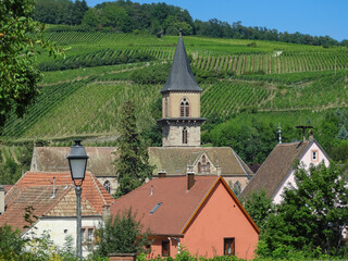 Looking over the roof tops of a Alsace church at the vineyards