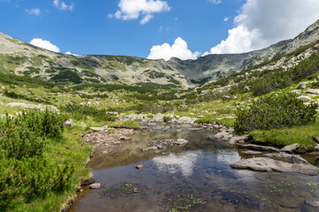Naklejka na ściany i meble Summer landscape of Pirin Mountain near Banderitsa River, Bulgaria