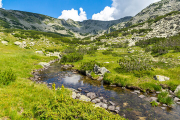 Fototapeta na wymiar Summer landscape of Pirin Mountain near Banderitsa River, Bulgaria