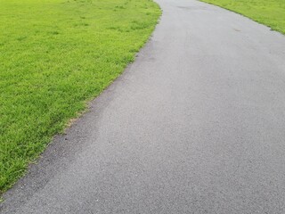 明るい緑の野原を通る道