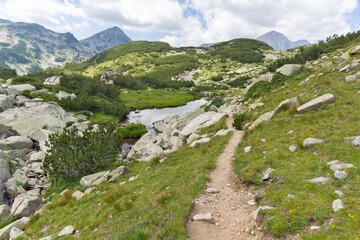 Fototapeta na wymiar Summer landscape of Pirin Mountain near Banderitsa River, Bulgaria