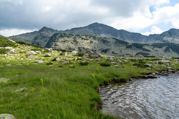 Fototapeta premium Summer landscape of Pirin Mountain near Banderitsa River, Bulgaria