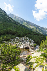 Summer landscape of Pirin Mountain near Banderitsa River, Bulgaria