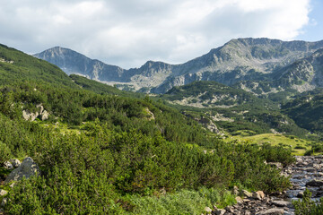 Naklejka premium Summer landscape of Pirin Mountain near Banderitsa River, Bulgaria