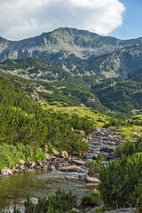 Summer landscape of Pirin Mountain near Banderitsa River, Bulgaria