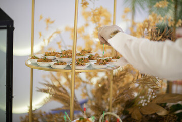 catering food, dessert and sweet, mini canapes, snacks and appetizers, food for the event, sweetmeat