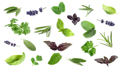 Collection of different aromatic herbs on white background