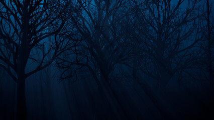 Haunted Halloween Woodland Scene at Night.